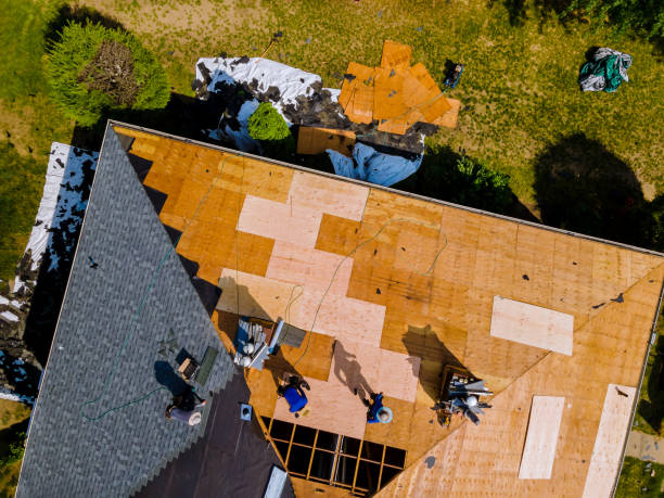 Best Commercial Roofing Services  in Hampton, TN